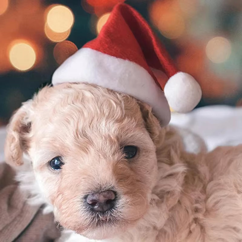 Christmas Pet Cat Dog Santa Hat Pet Costume Ornaments Christmas Party Pet Supplies Cosplay Hat Christmas Decoration